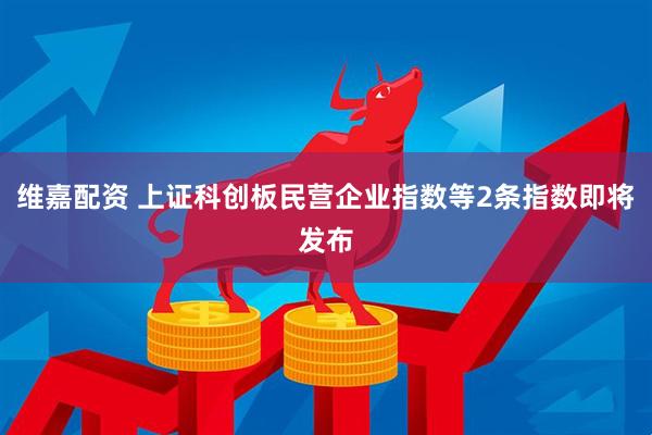 维嘉配资 上证科创板民营企业指数等2条指数即将发布